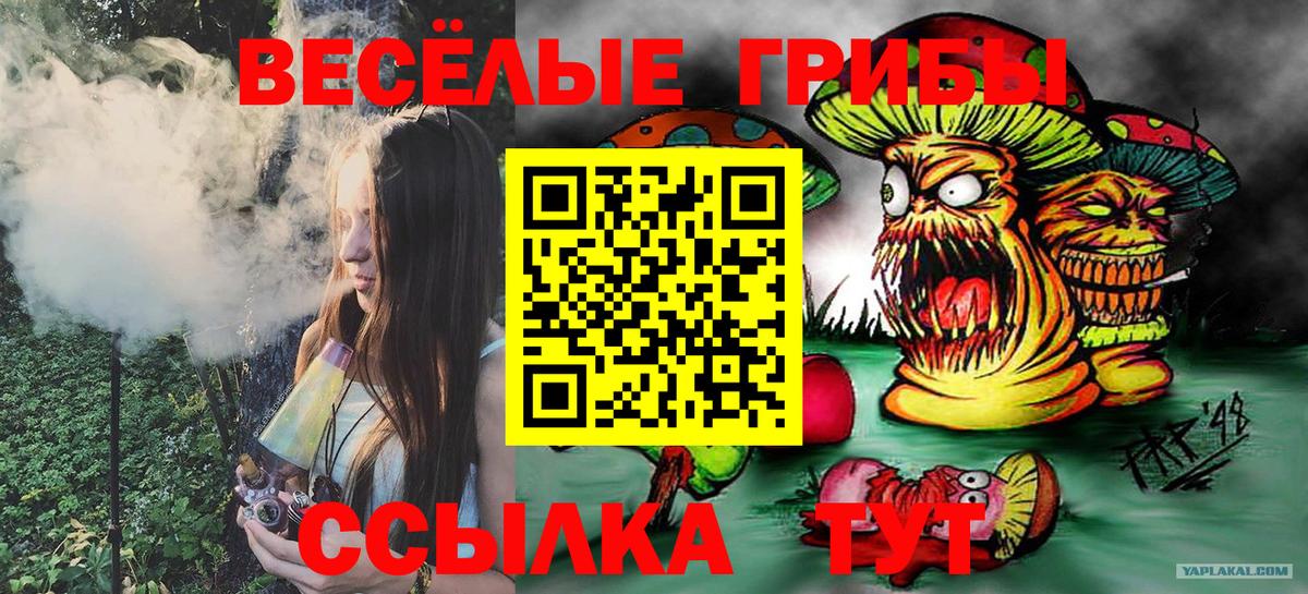 Саянск  Псилоцибиновые грибы мухоморы  Вход с VPN  Галлюциногенные грибы ЛСД 